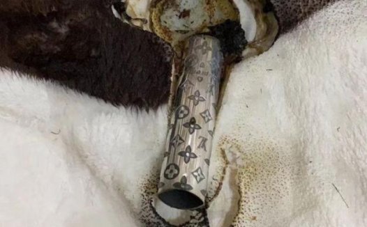 假的电子烟杆有什么危害？三大危害