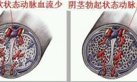 悦刻影响性功能吗？从香烟的影响来推测