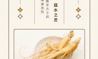 柚子电子烟推出草本风味,开启草本雾化赛道