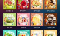 ammo的烟弹哪里买便宜？