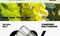 SNOW雪加烟弹在哪里买？优先这个渠道