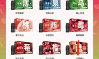 CG猫神电子烟什么价位?