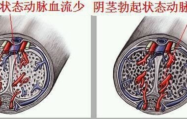 悦刻影响性功能吗？从香烟的影响来推测