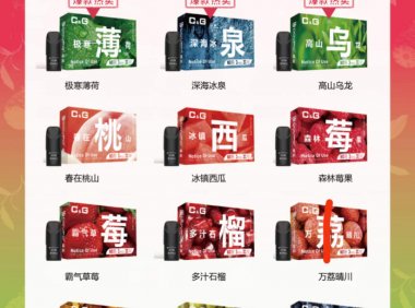 CG猫神电子烟什么价位?