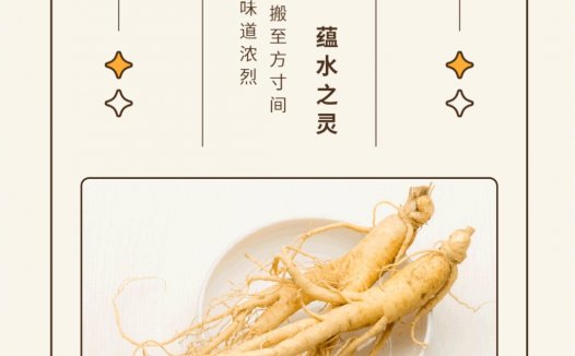 柚子电子烟推出草本风味，开启草本雾化赛道