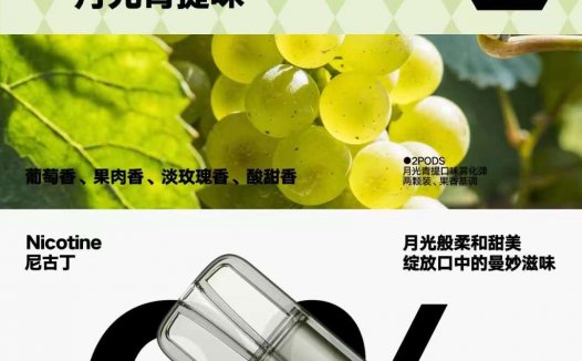 SNOW雪加烟弹在哪里买？优先这个渠道