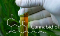 cbd油在国内合法吗?cbd油在中国是否合法?