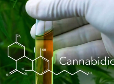 cbd油在国内合法吗?cbd油在中国是否合法?