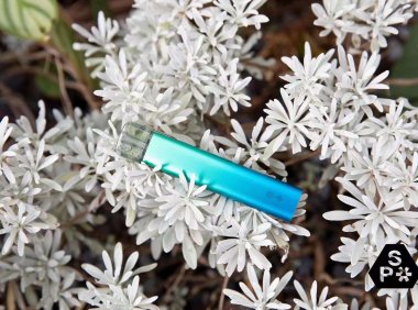 snowplus多少钱一支?snowplus电子烟官网售价