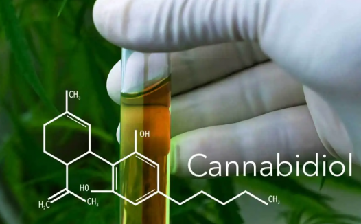 cbd油在国内合法吗？cbd油在中国是否合法？