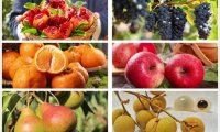 电子烟为什么禁止水果味?原因大解析