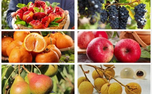 电子烟为什么禁止水果味？原因大解析