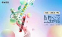 雪加一次性电子烟多少钱?