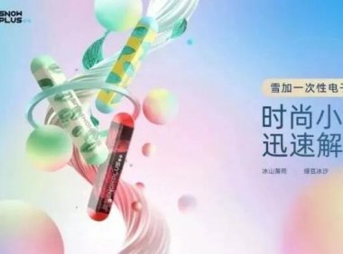 雪加一次性电子烟多少钱?