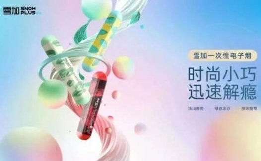雪加一次性电子烟多少钱？
