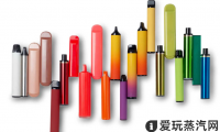2022美国一次性电子烟排行榜