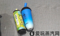 迷雾可乐罐和WDG奶茶杯哪个好？