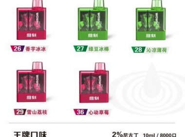 维刻小魔盒多少钱?8000口超大口数