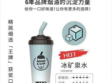 5000口一次性电子烟有哪些?