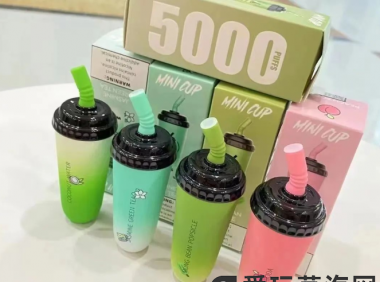 wdg电子烟是杂牌吗?