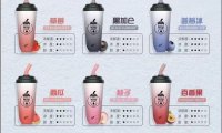 n+奶茶杯电子烟多少钱?