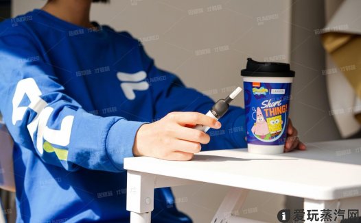 电子烟口味棒评测：赋味果香支体验分享