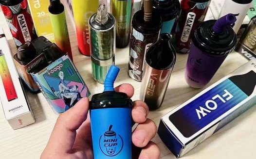 wdg奶茶杯和weeto大焕彩哪个好？奶茶杯略胜一筹