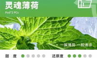 YOOZ五代哪个口味好抽?哪些口味最受欢迎?