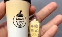 WGD奶茶杯生椰拿铁口味评测