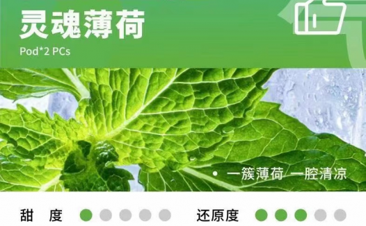 YOOZ五代哪个口味好抽？哪些口味最受欢迎？