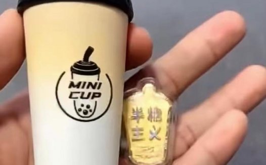 WGD奶茶杯生椰拿铁口味评测