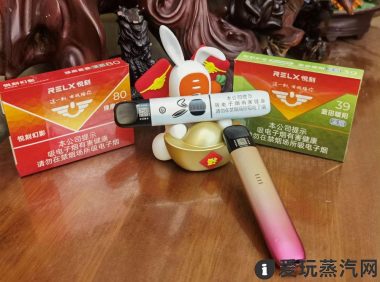 国标电子烟那个牌子比较好?