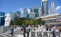 新加坡加强对旅客携带电子烟的执法力度