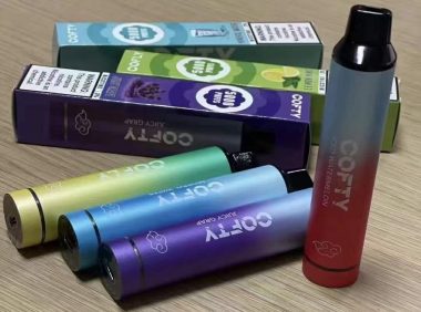 飞雾一次性电子烟官网是哪个？