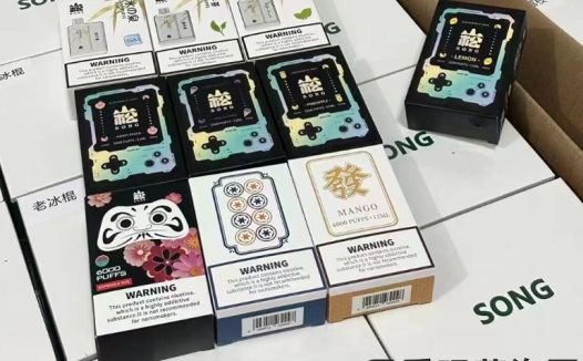 小崧一次性电子烟在哪买？（崧一次性电子烟好抽吗）