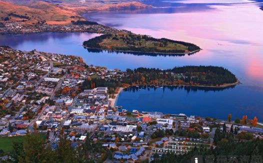 新西兰一次性电子烟新规即将实施