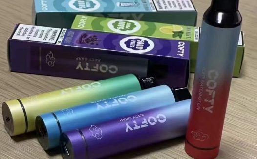 飞雾一次性电子烟官网是哪个？