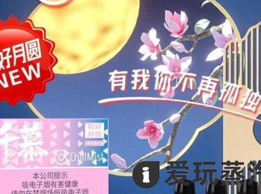 千慕花好月圆国标烟弹价格多少？