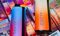 飞雾二代一次性多少钱?—— 了解这款热门电子烟的价格与性能特点