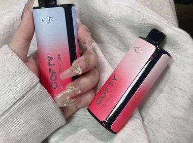 飞雾二代销售:高性能与丰富口味的完美结合