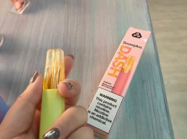 雪加鸭嘴兽电子烟图片:独特的外观设计