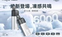 冰熊6000一次性电子烟详细测评与口味推荐