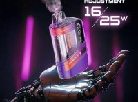 冰熊Supernova 20000口一次性电子烟全解析：价格、参数、口味体验全指南