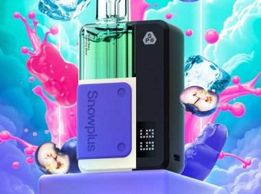 雪加积木全面解析：价格、烟弹多少毫升、和大板砖哪个好？